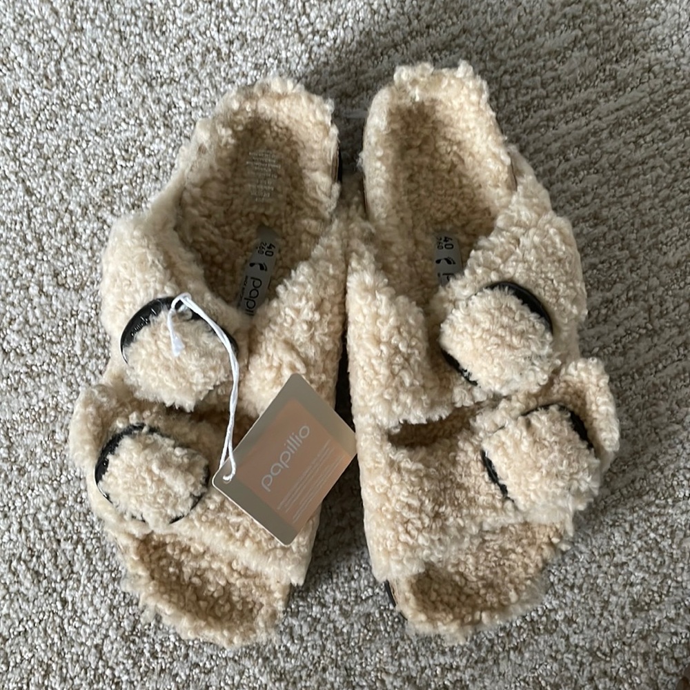 Arizona big buckle Papillio. Size 40